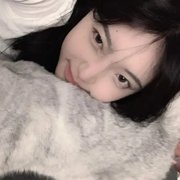 我的狗是杀手